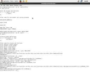 bashrc and bash_profile